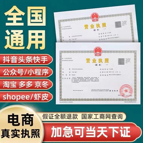 代办理个体户营业执照公司注册抖音电商企业店铺虾皮工作室用