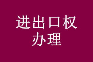 衡水代办进出口权,进出口代理 八戒财税