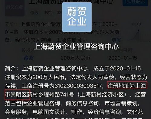 薇娅被罚了13亿,带货一姐费尽心思逃的税,终究是白给