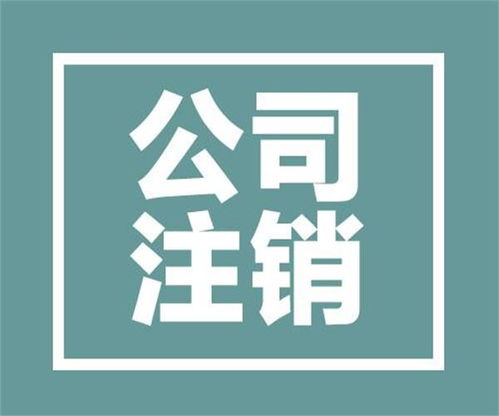 金牛区人民北路代理记账公司排名法人是不是必须是股东