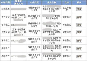 怎样注册北京分公司