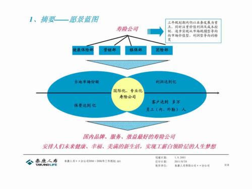 2004年分公司3年战略规划模版企业战略经典pdf40页